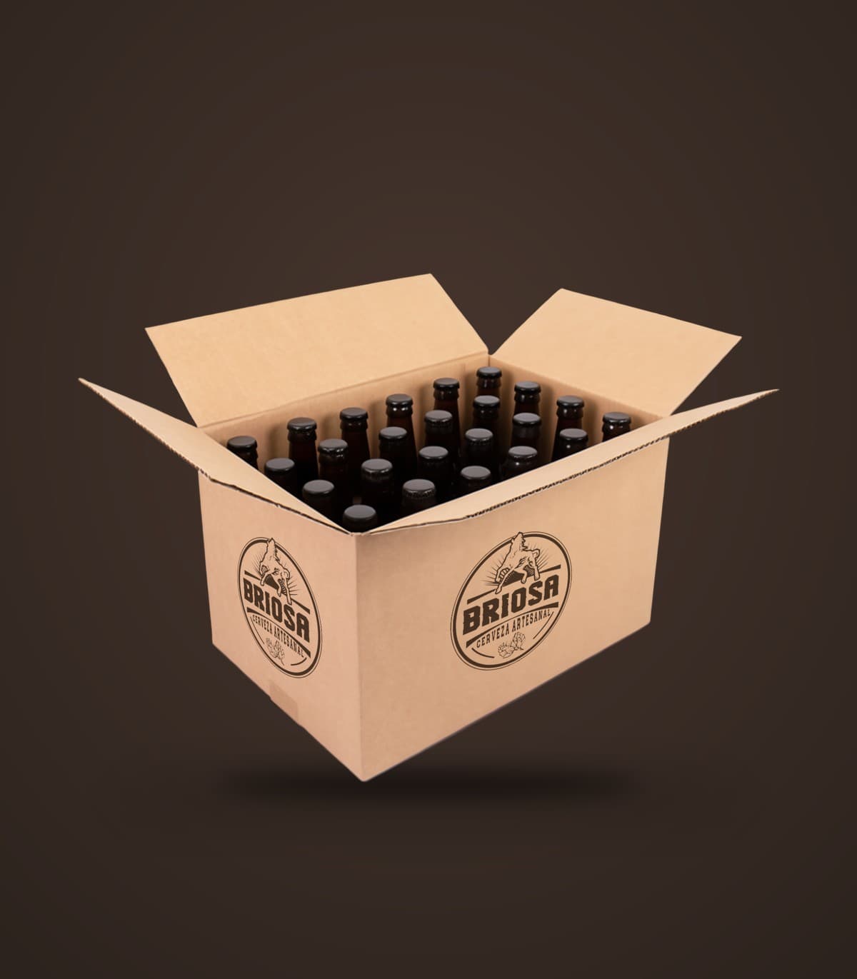 Caja x24 und