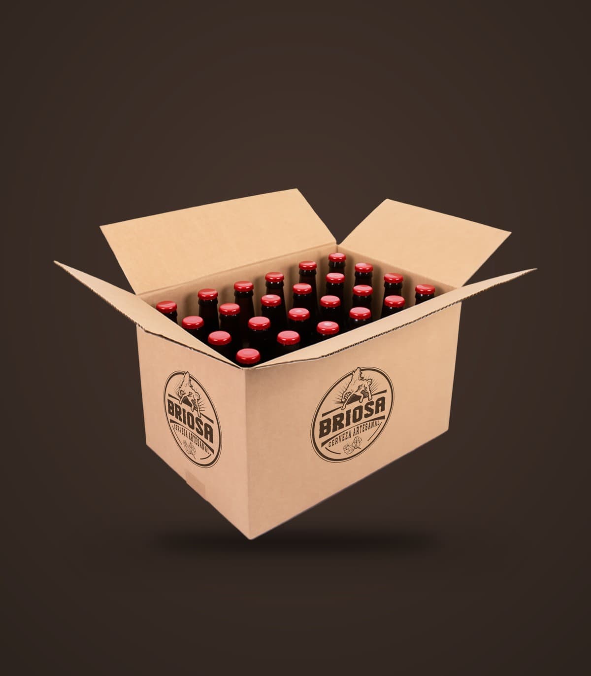 Caja x24 und